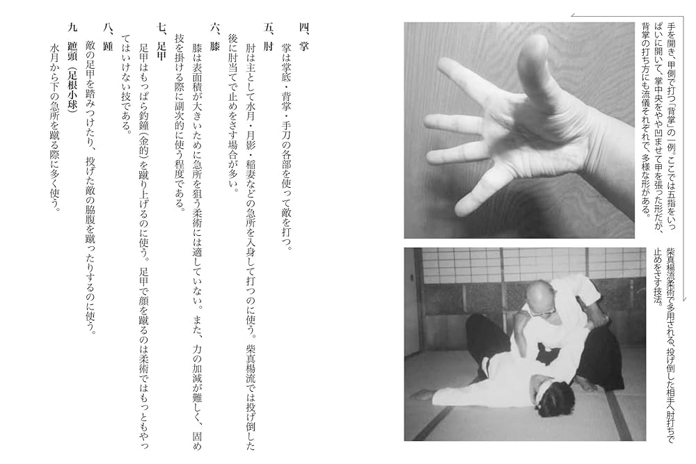 当身殺活術の極意 〜古流柔術に伝わる秘伝打撃術〜 | 小佐野淳